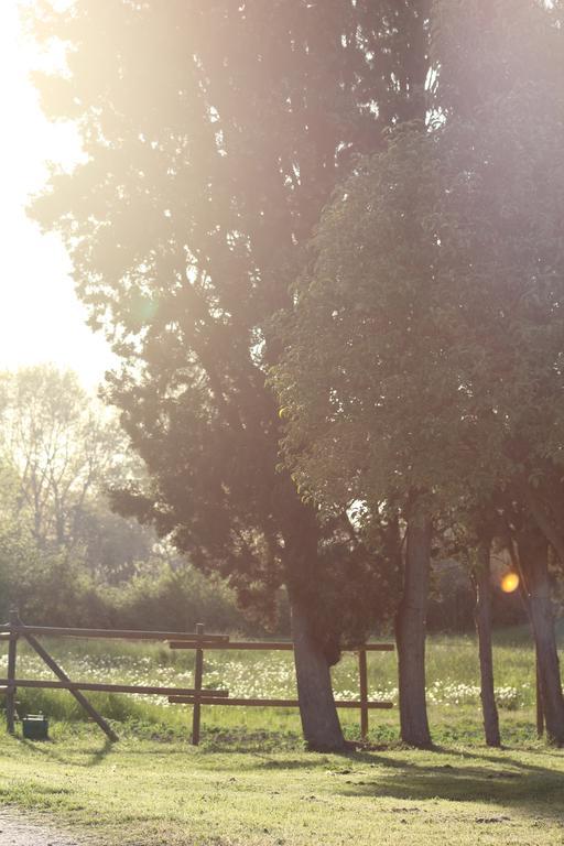 Mas Petit Prince Arles Zewnętrze zdjęcie